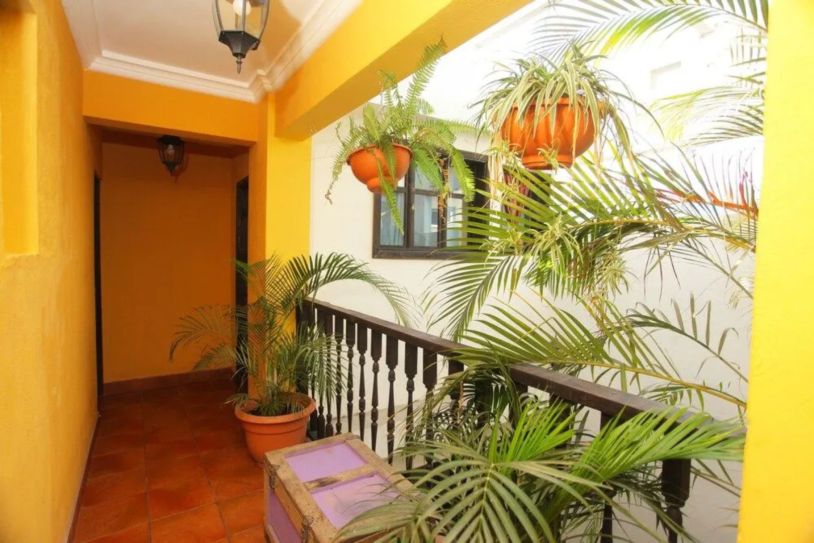 Casa Colonial PanaSurf