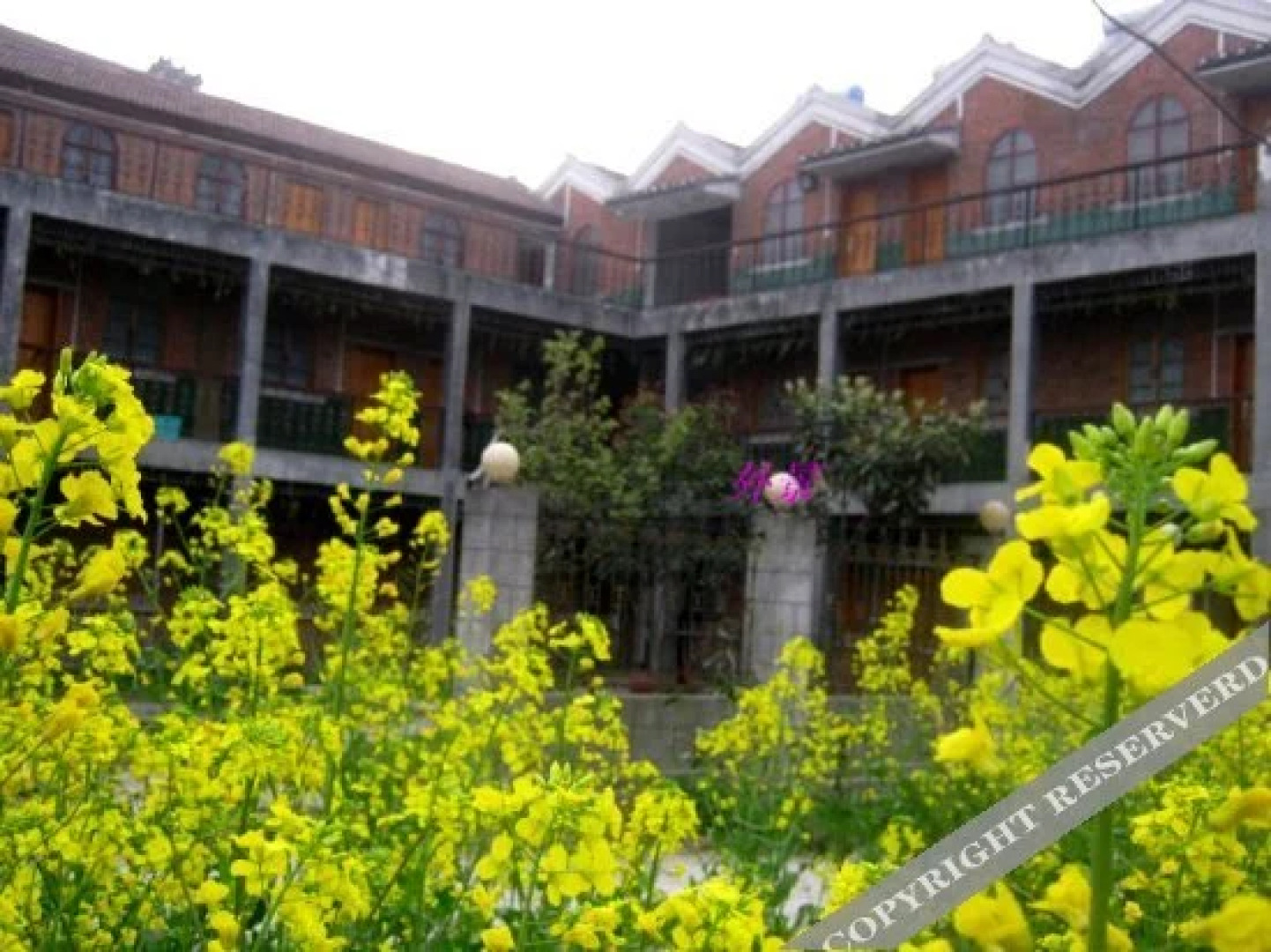 Wudangshan Xuanyue Inn