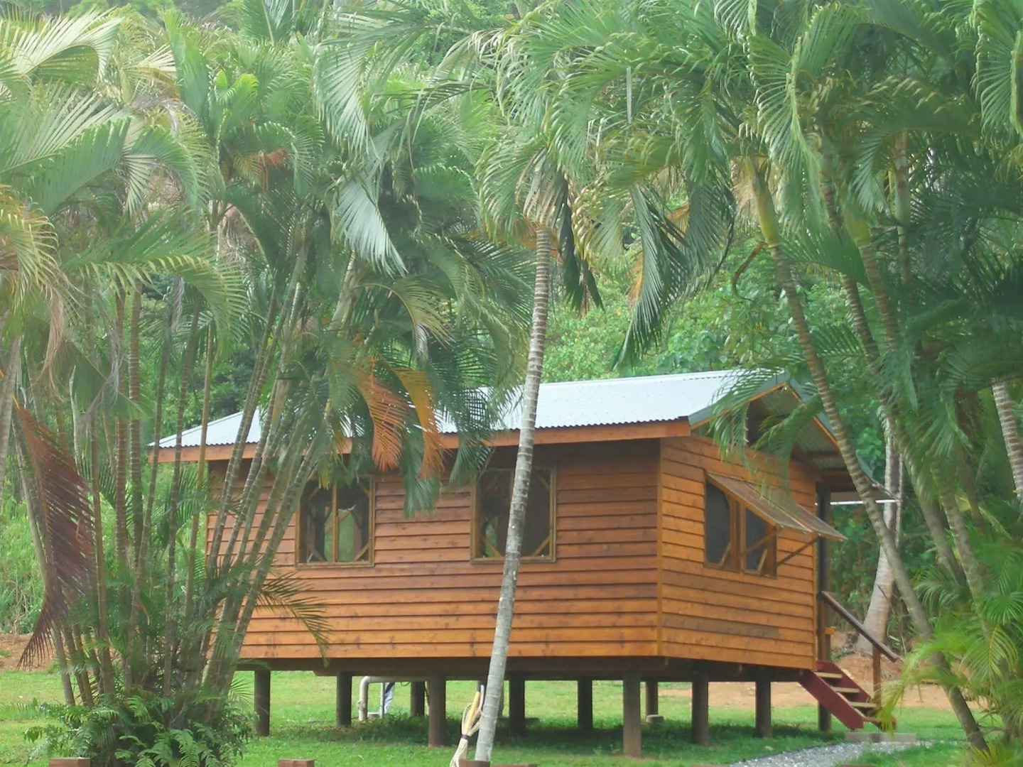 Daintree Rainforest Bungalows