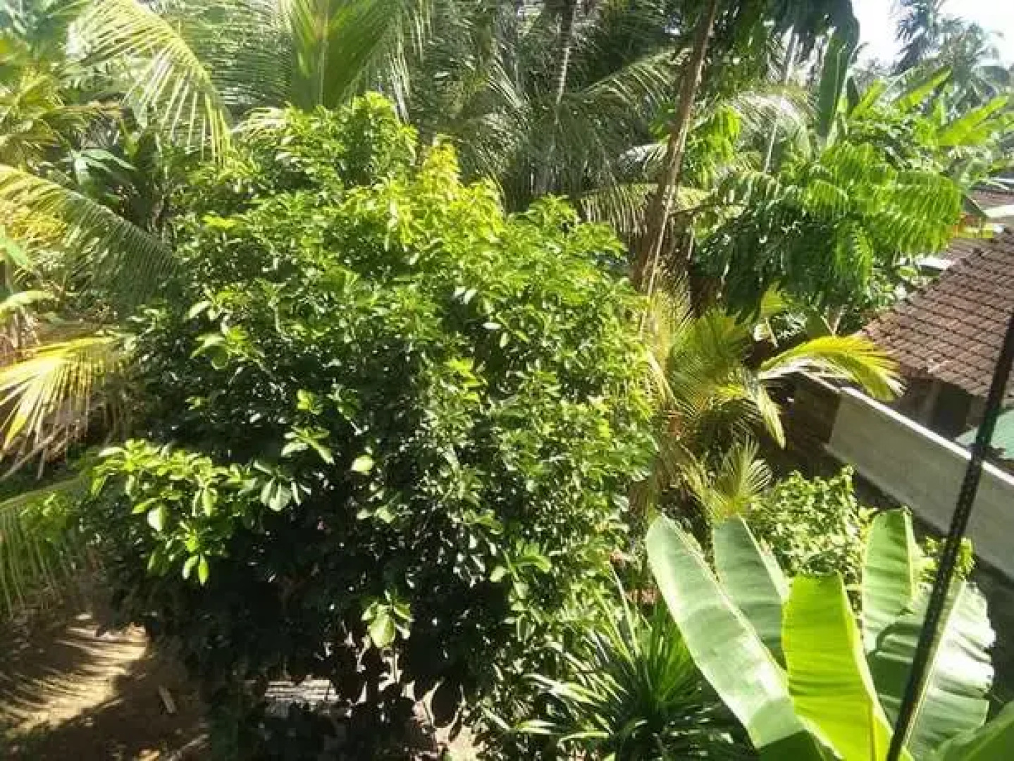 Hotel President Firenze