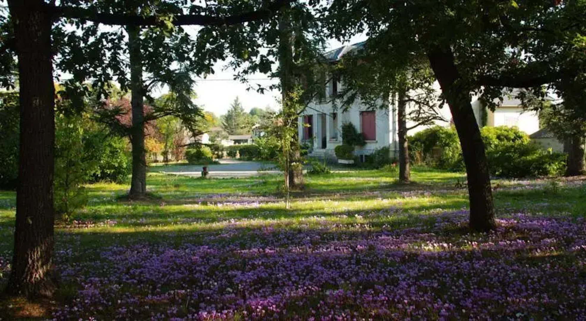 Chambres dHôtes Fondragon les Cedres