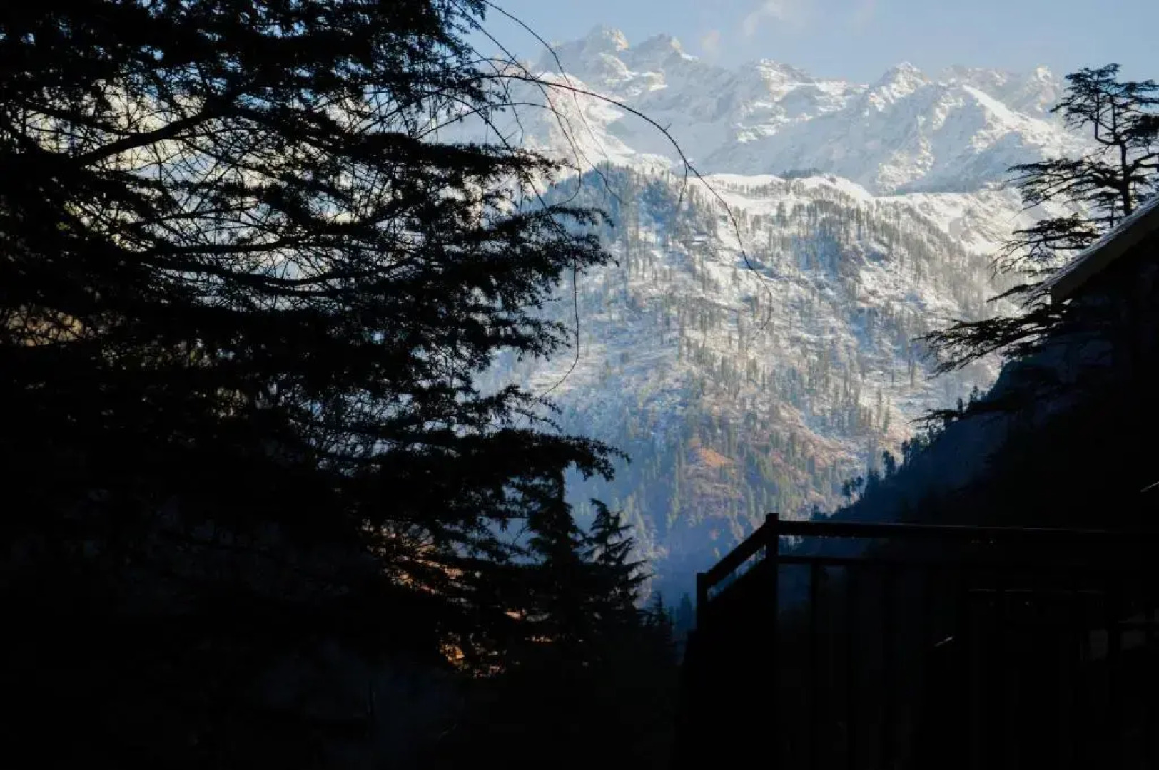 The Woodward Two By Oyo Room