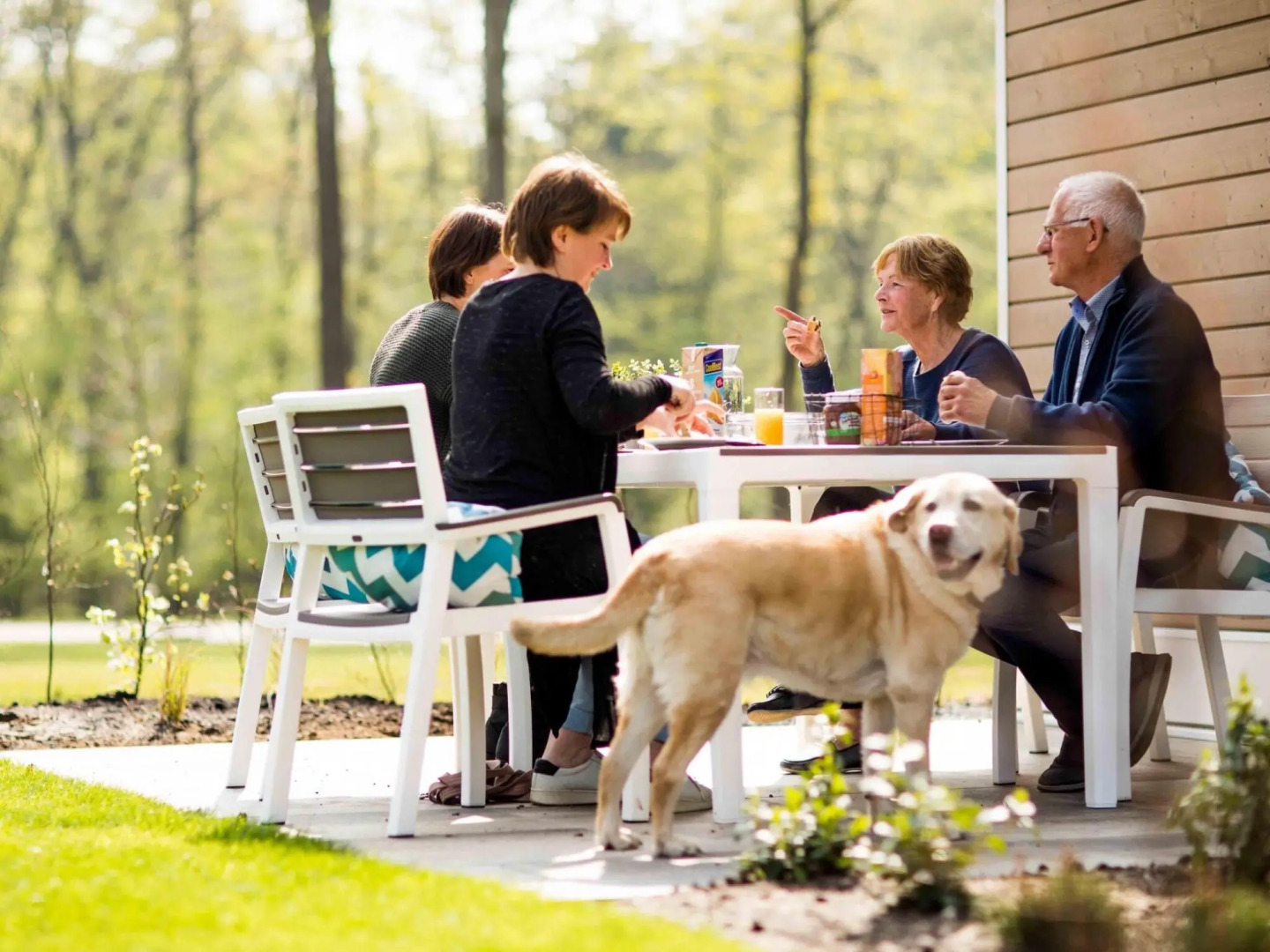 Beautiful chalet with dishwasher, in a holiday park located near the Veluwe