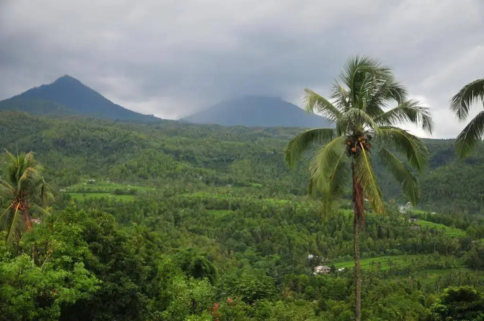 Puri Sunny Guesthouse