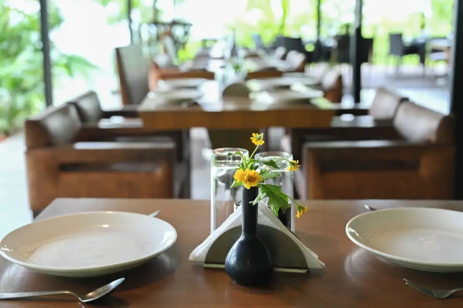 Forest Hills at Tala