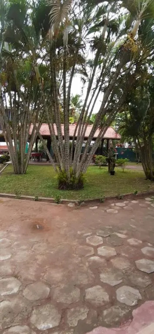 Hotel TK Green Garden