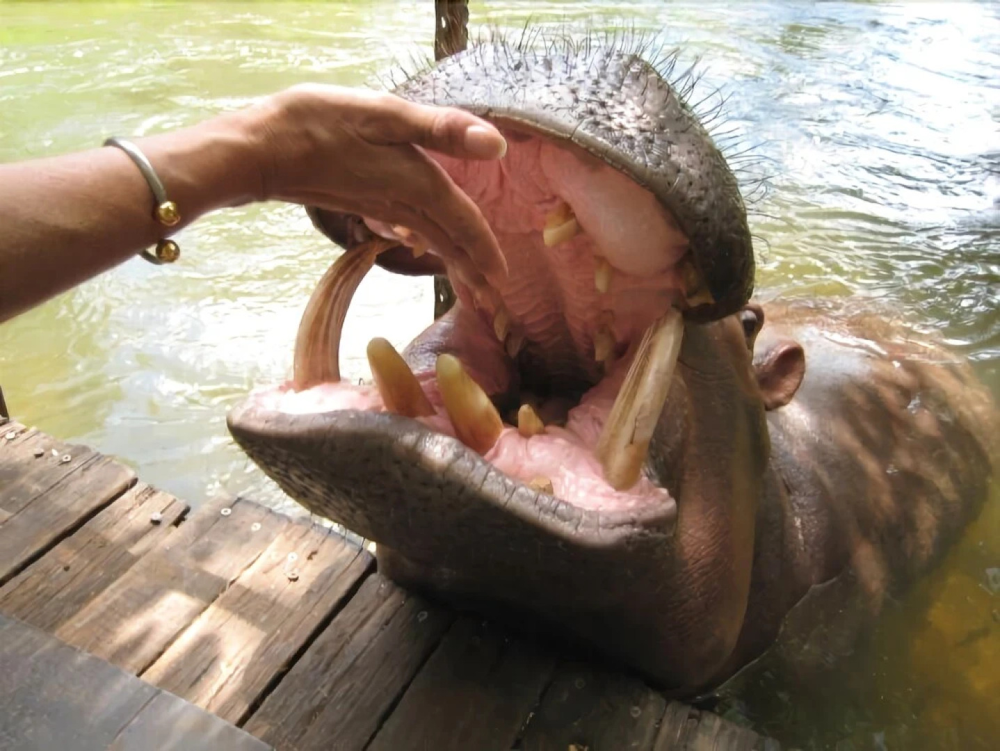 House 12 Blyde Wildlife Estate