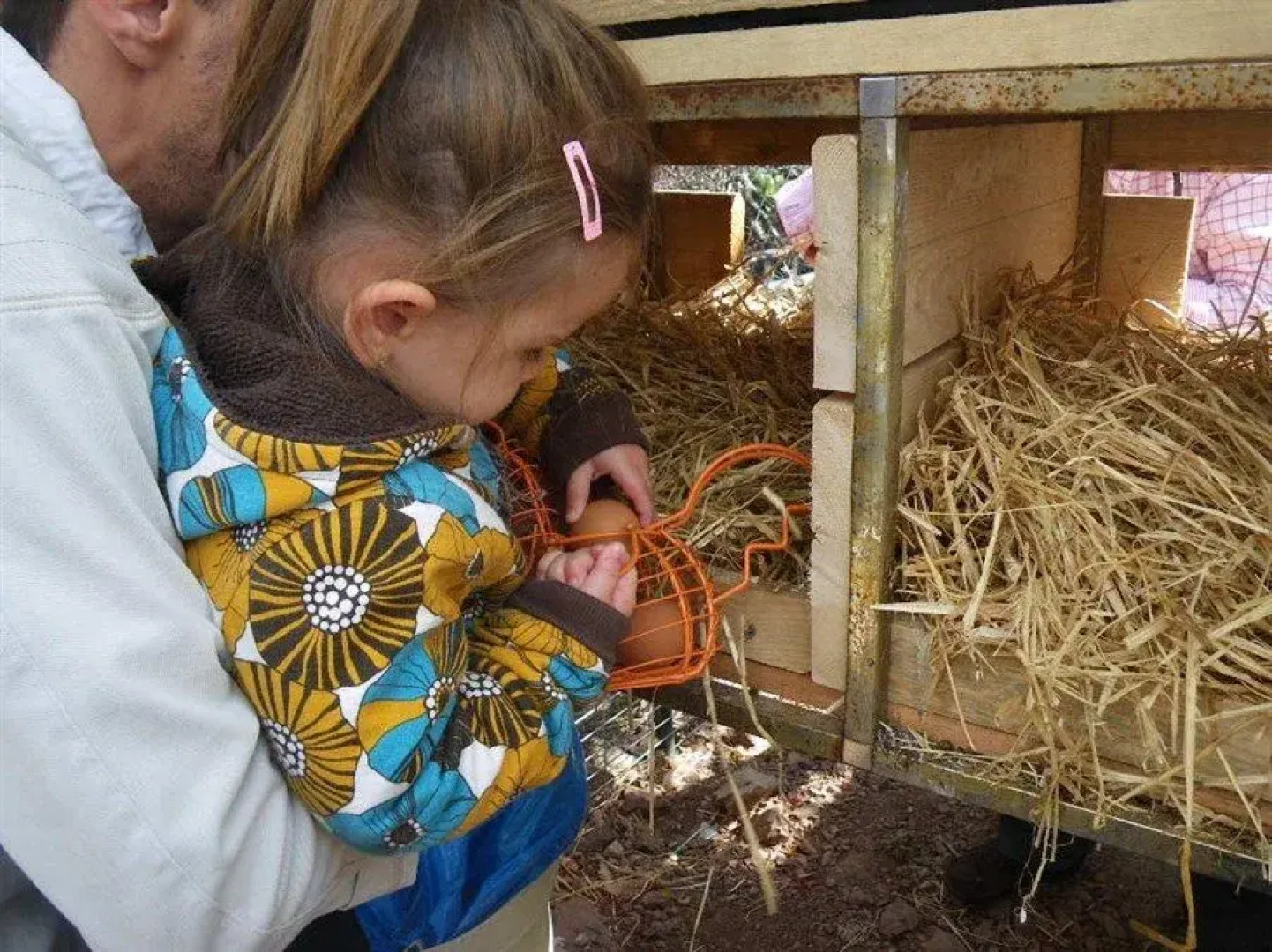 Hotel La Casa Del Rio