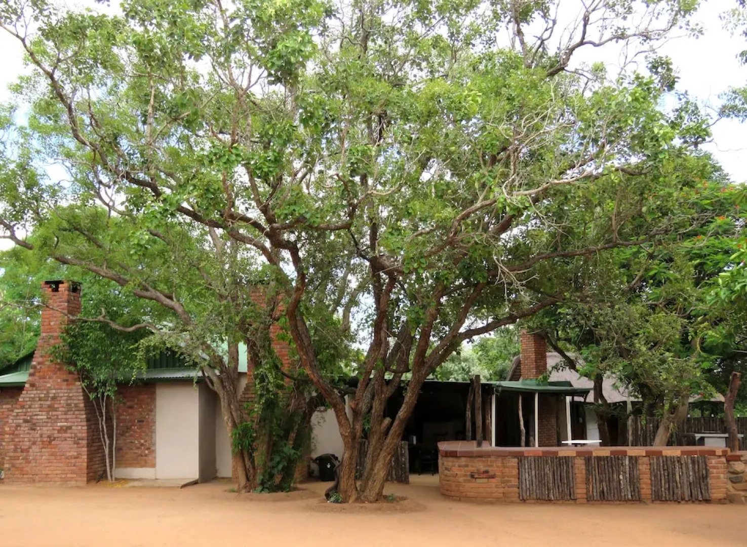 Wild Dogs Safari Lodge