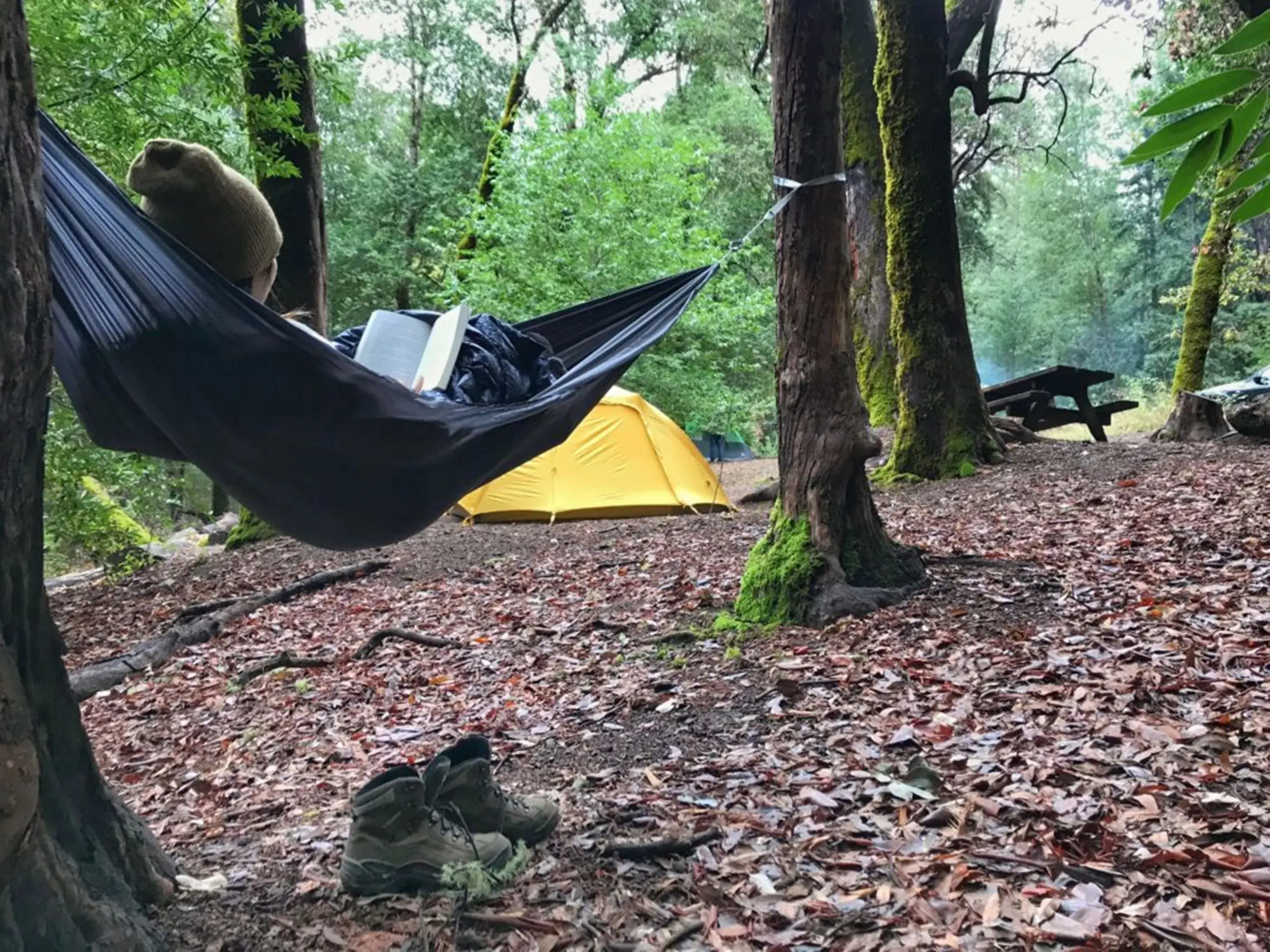 Singalong Nature Camphill Site