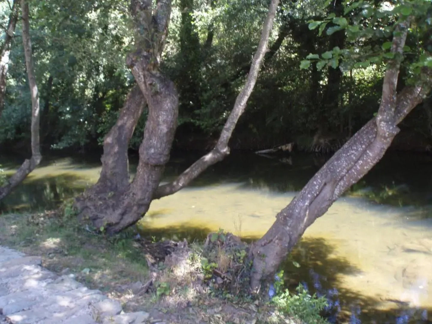 Moinho da Ponte Velha