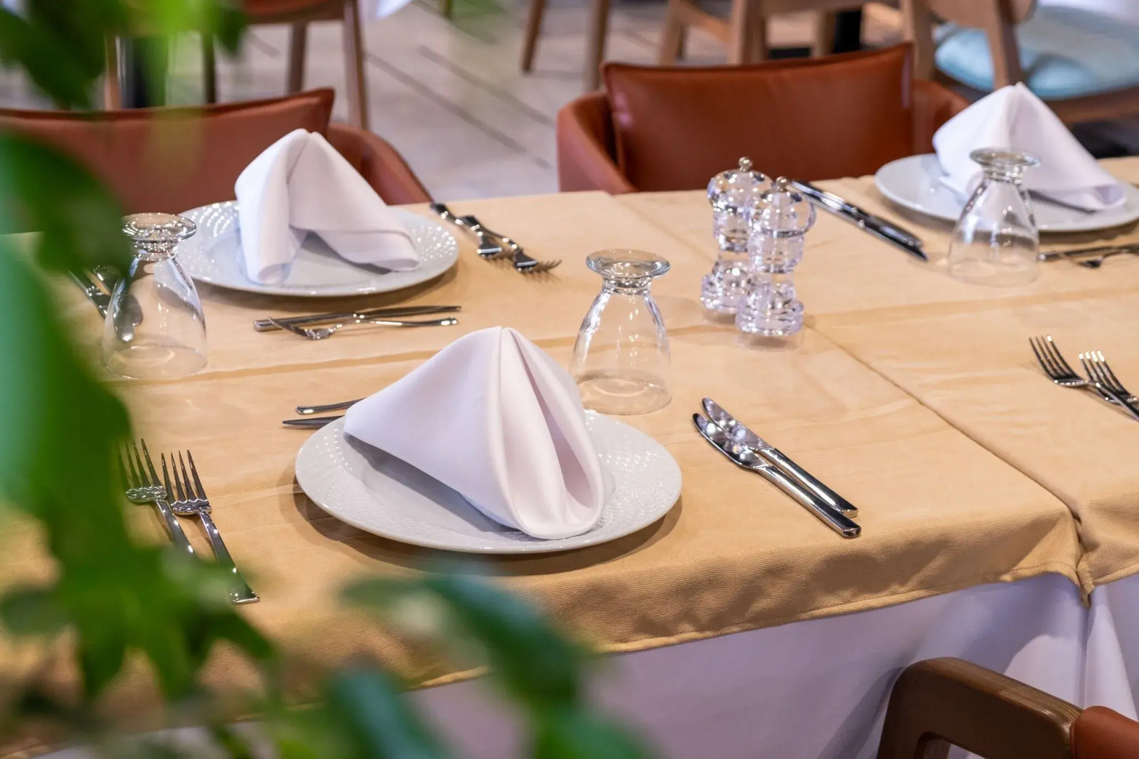 Allia Thermal Health & Spa Kazdagları