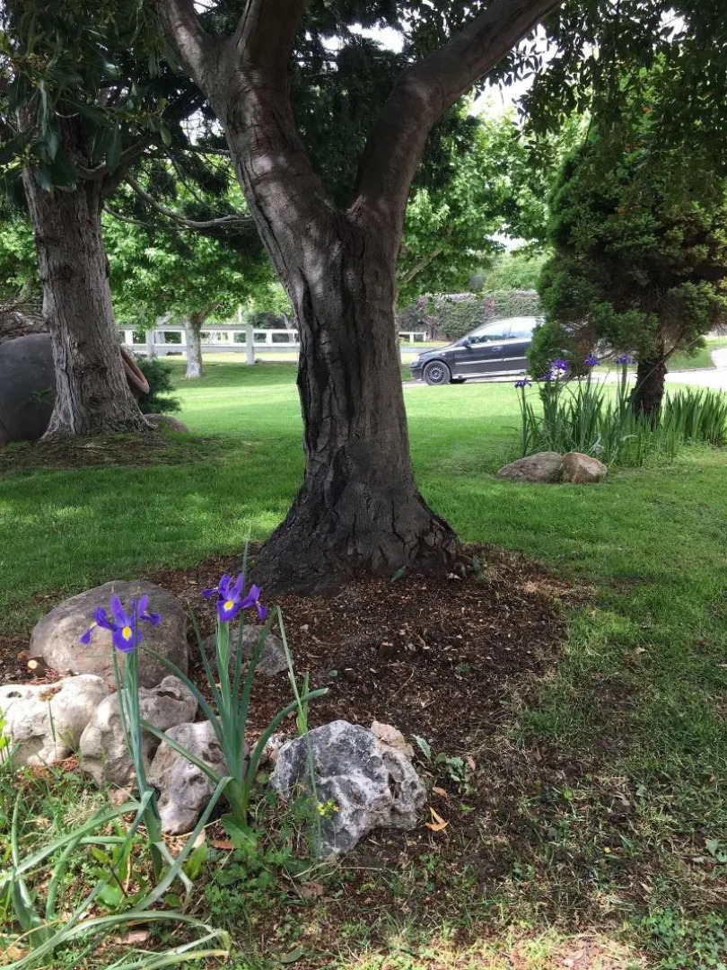 B&B Yeguada la parrilla