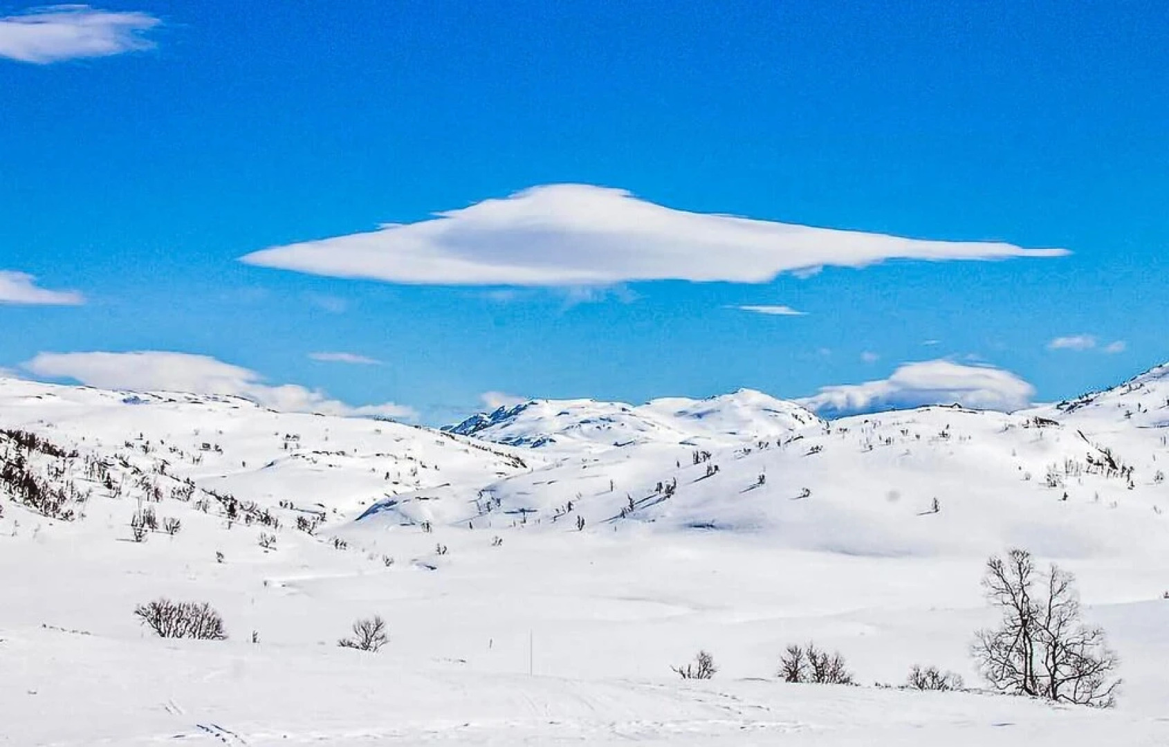 Stunning Home in Rauland With Wifi and 5 Bedrooms