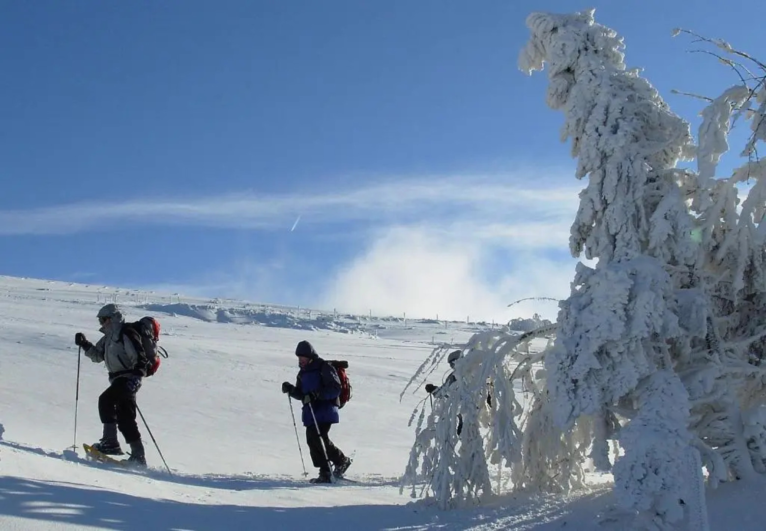 La Ferme du Douanier & Spa