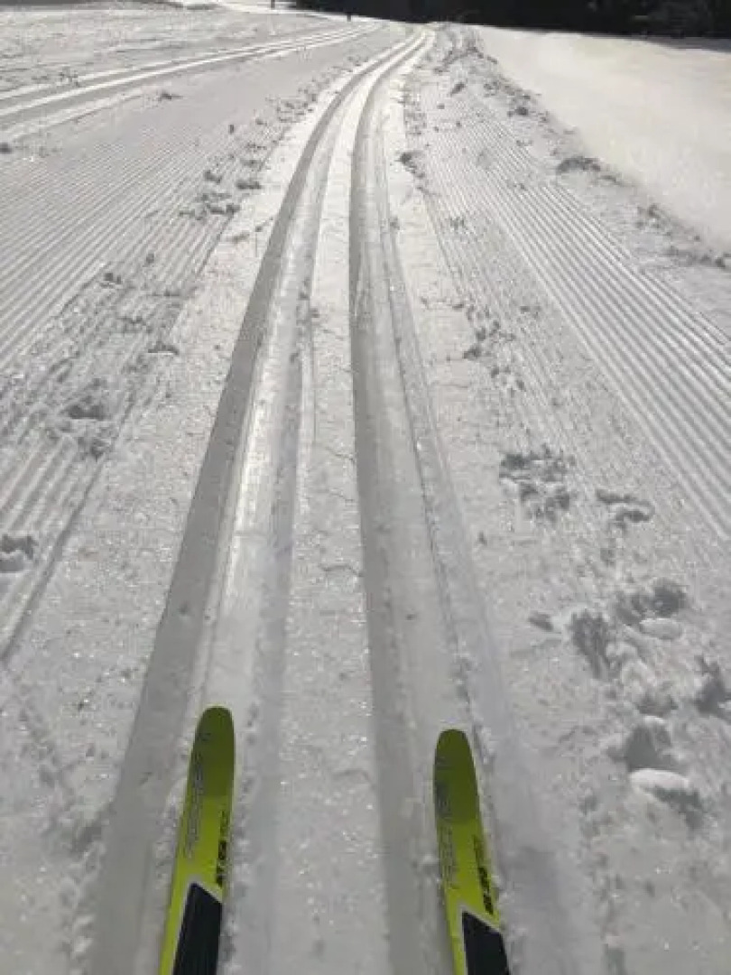 Ferienwohnung mit Sicht auf die Berge (Nähe Flims/Laax)
