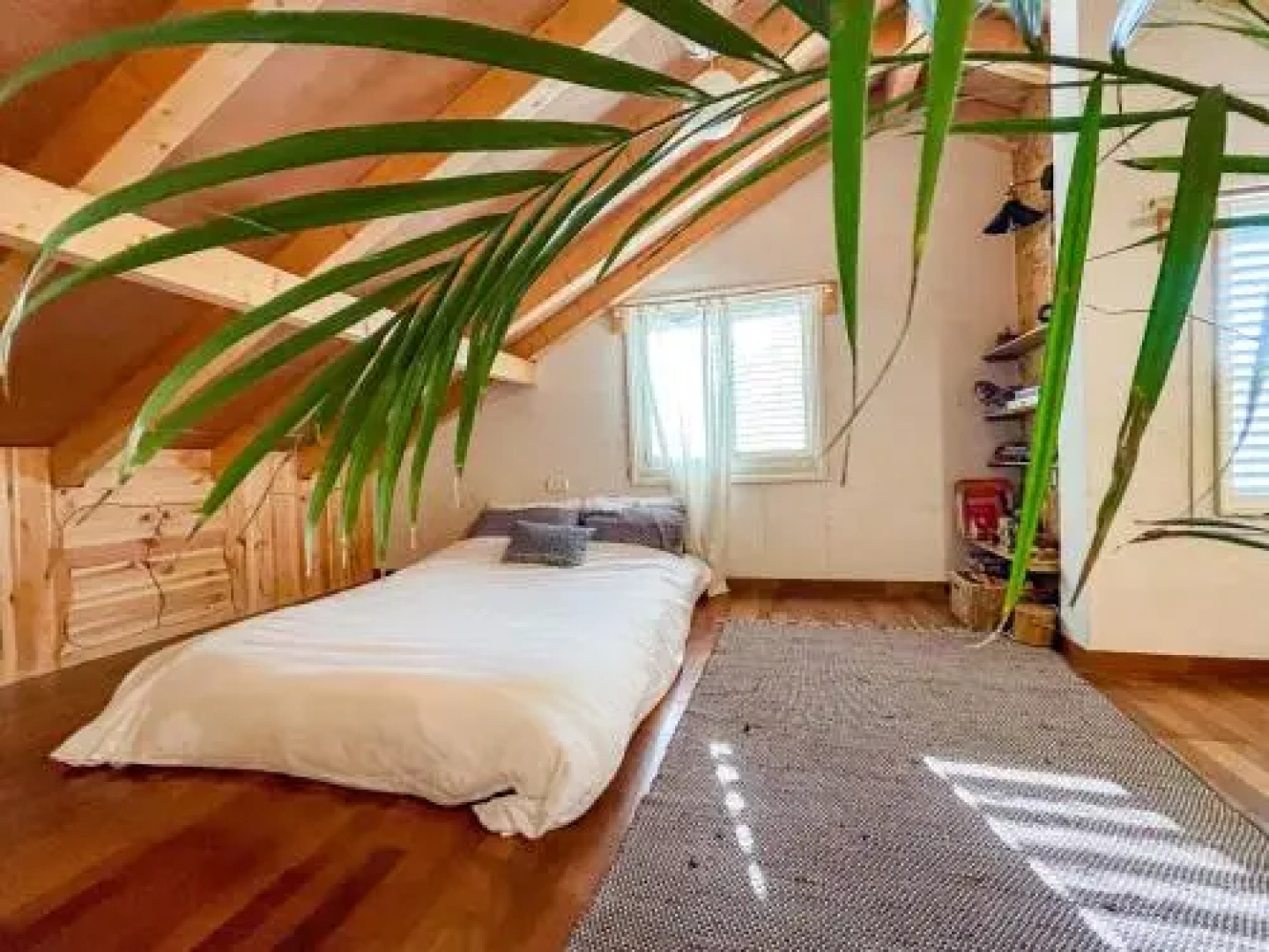 Blue House In The Woods- Amirim