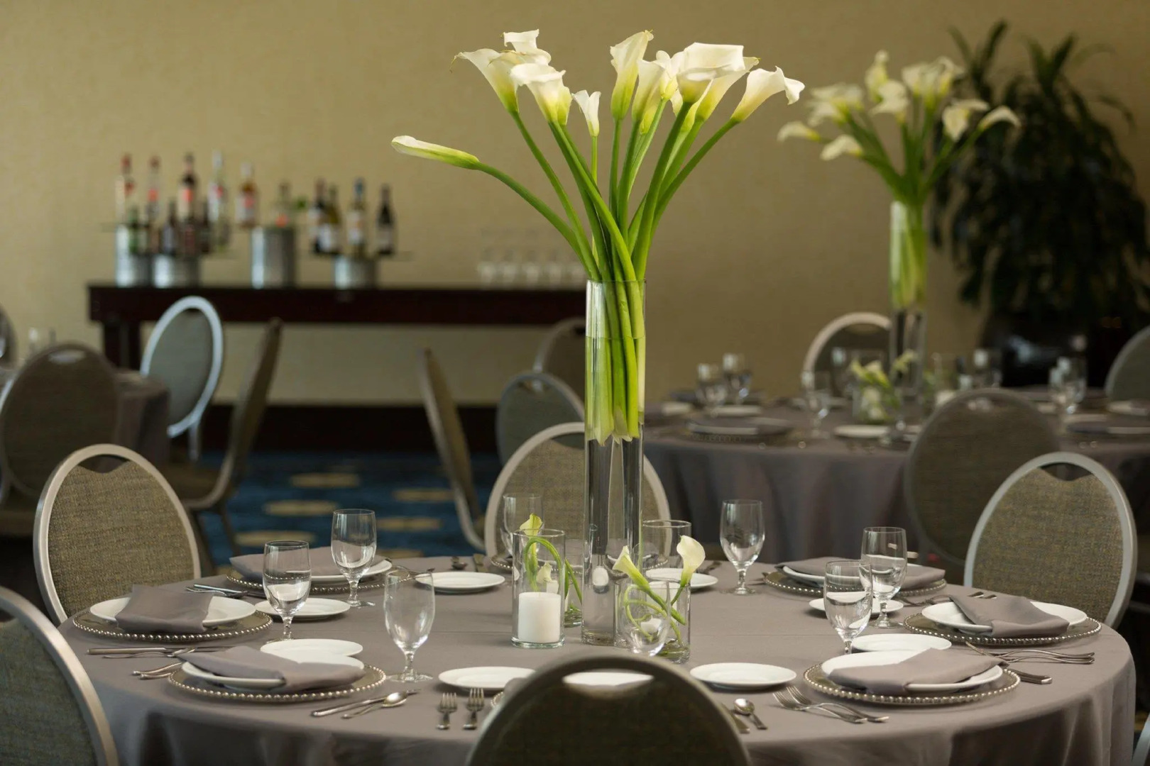 Hilton Asheville Biltmore Park