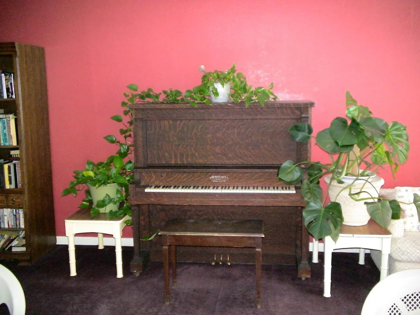 South Padre Condo Rentals