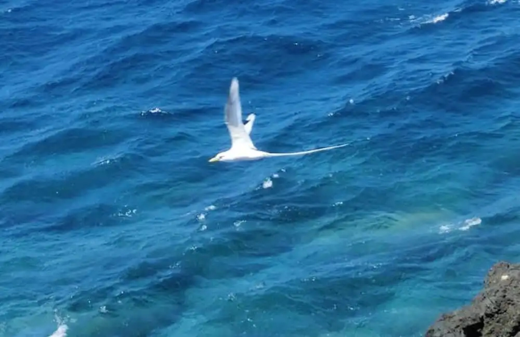 Studio In Petite Ile With Wonderful Sea View Furnished Garden And Wifi 4 Km From The Beach