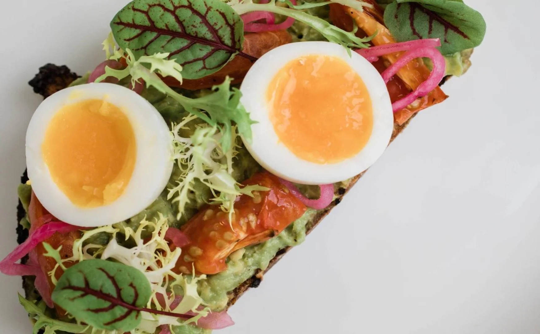 Fenway Hotel Autograph Collection