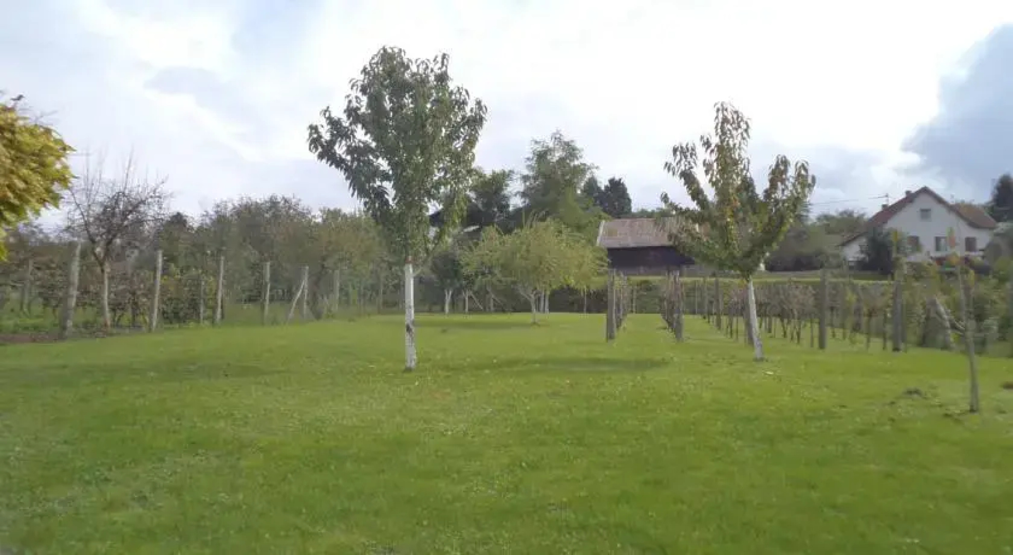Country House Pod dudom Aljmaš