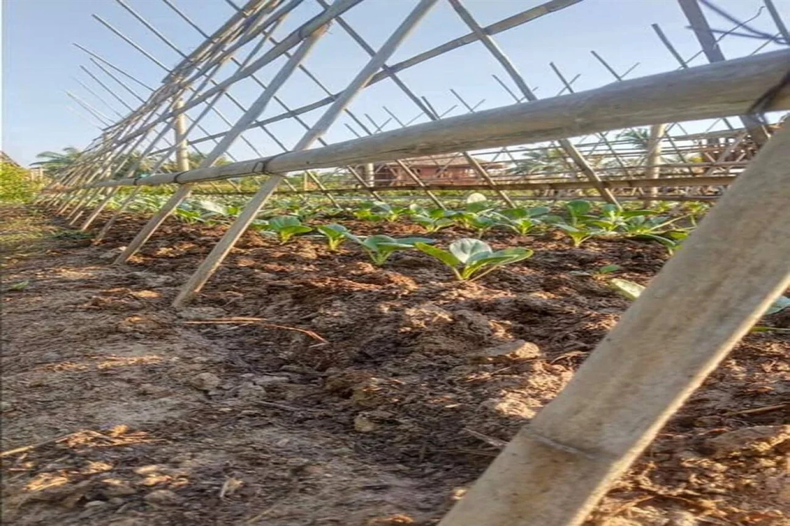 Venice Krabi Villa Resort