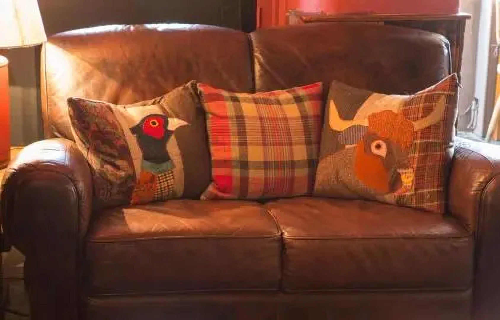 The Mole and Chicken