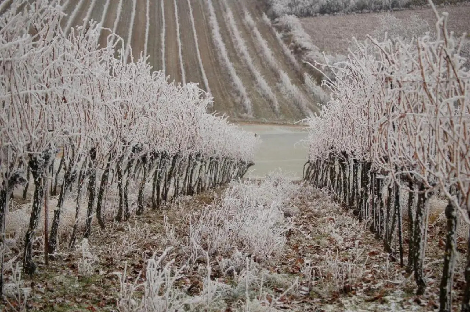 Kolpingsfamilie Poysdorf