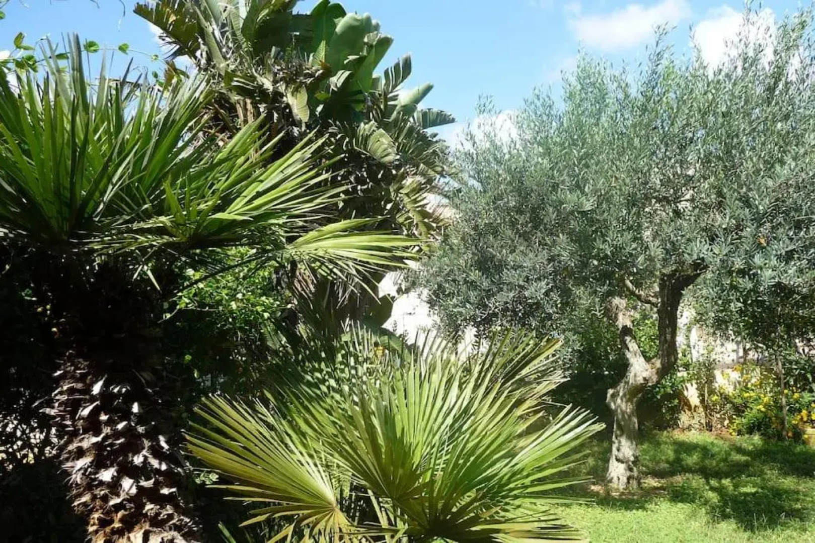 Villa Sicilypool with exclusive private pool 50m from the beach