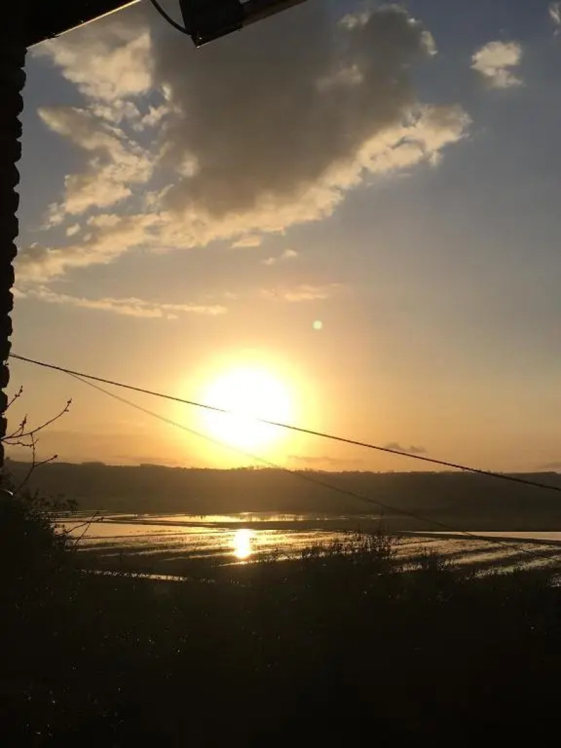 Locazione turistica Casa olivo