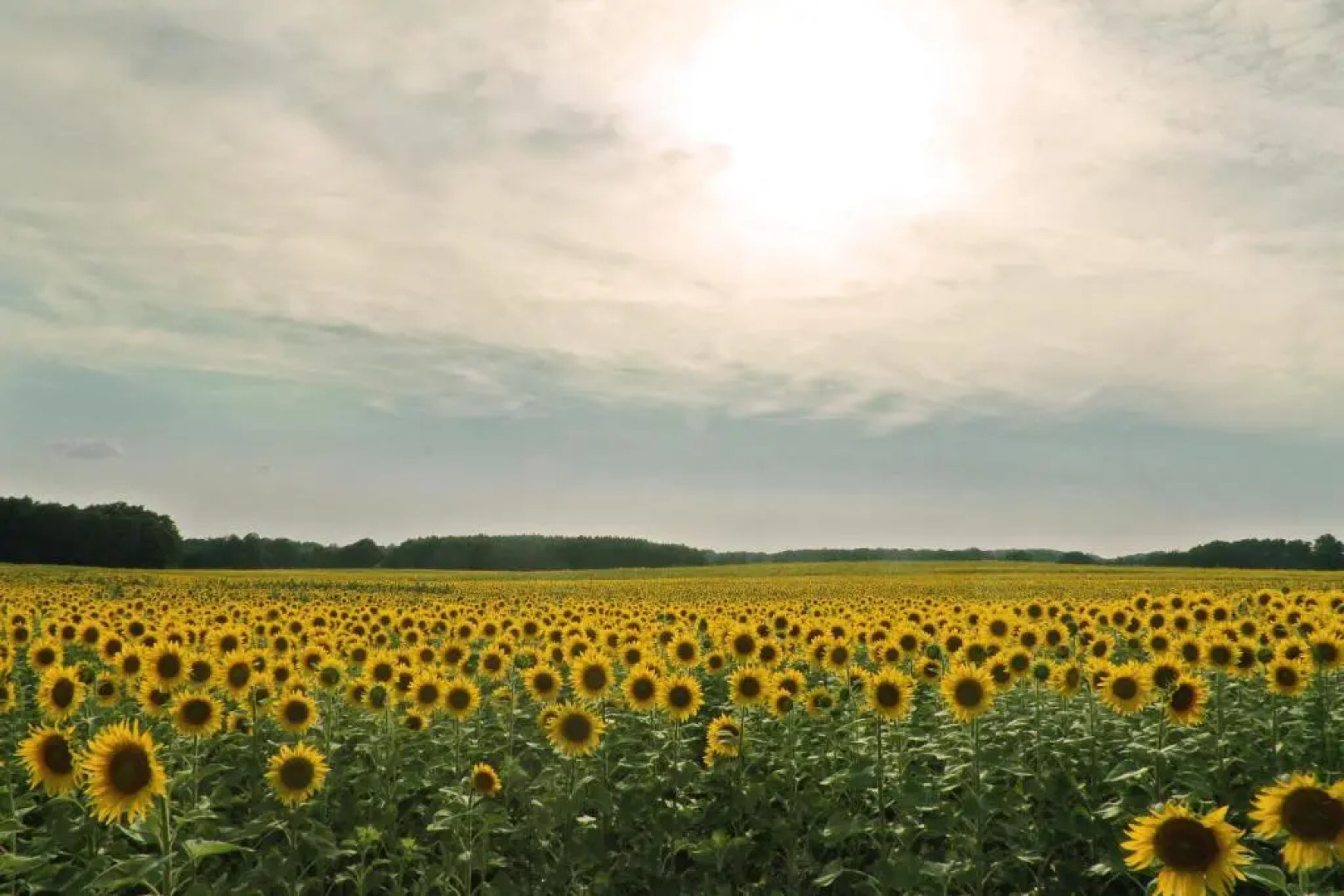 Van der Valk Golfhotel Serrahn