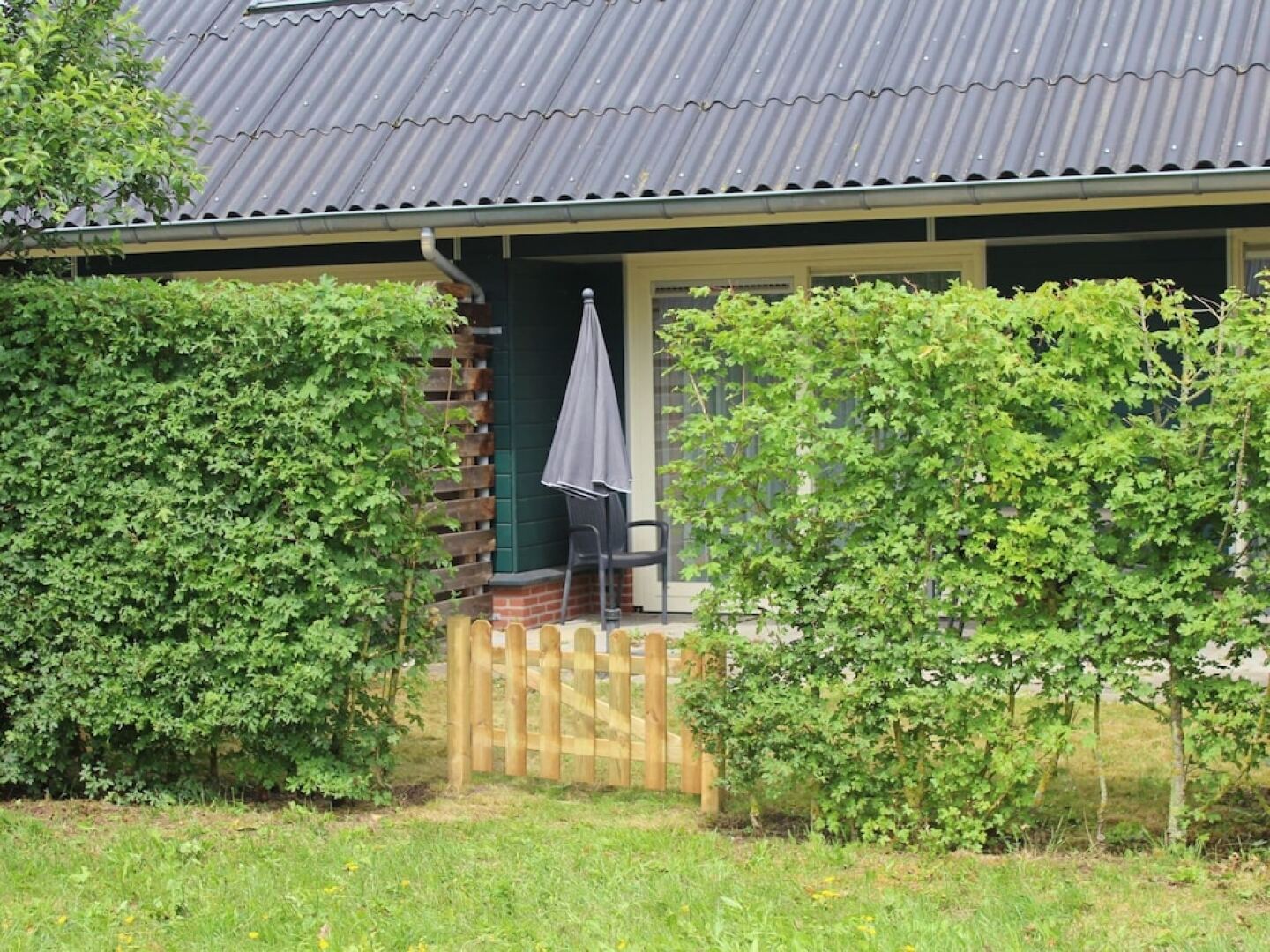 Quiet Glade Stay With Kid