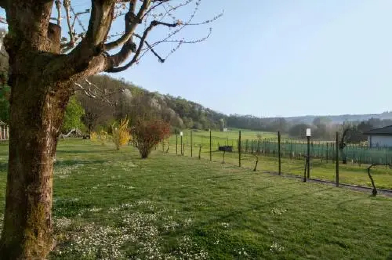 Vecchia Osteria Seseglio