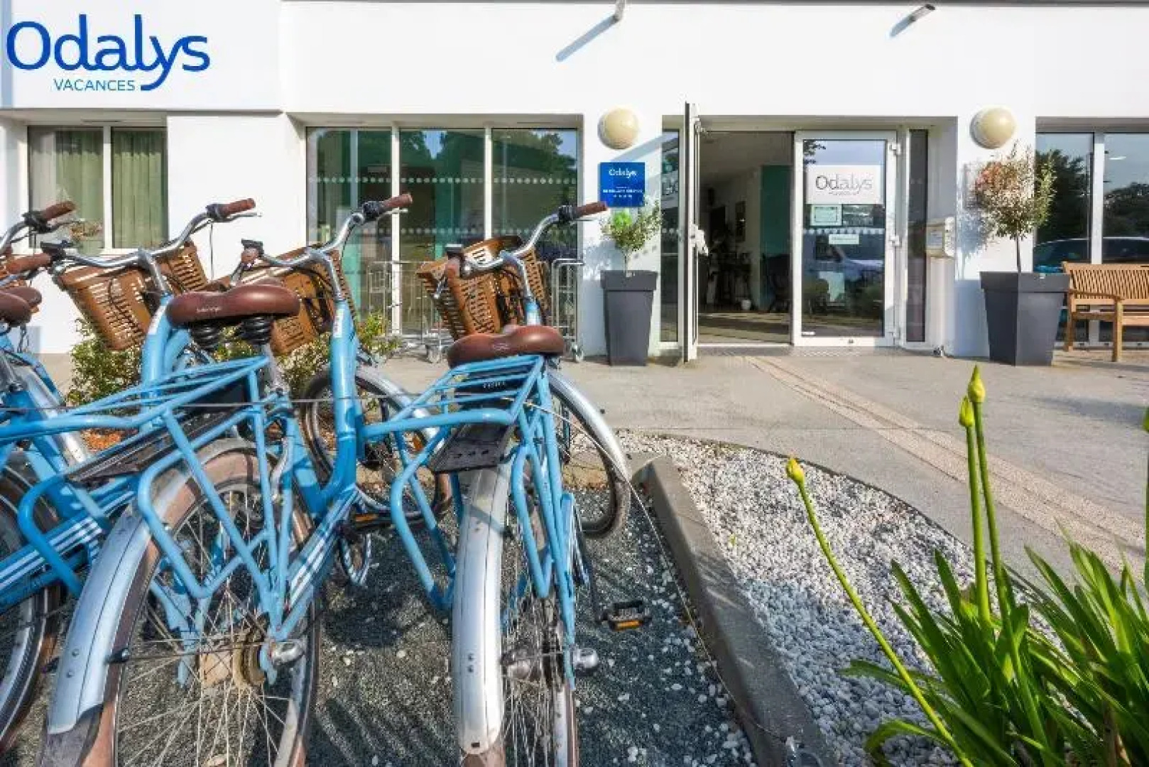 Odalys Domaine des Pins - Bois de la Chaise