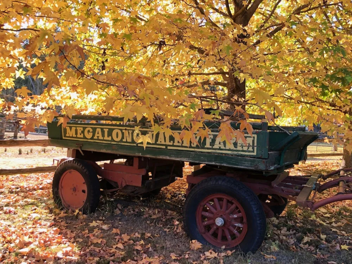 Wild In Style for Glamping