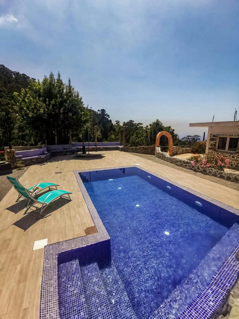 Casas Maravilha - Rvore by Homie