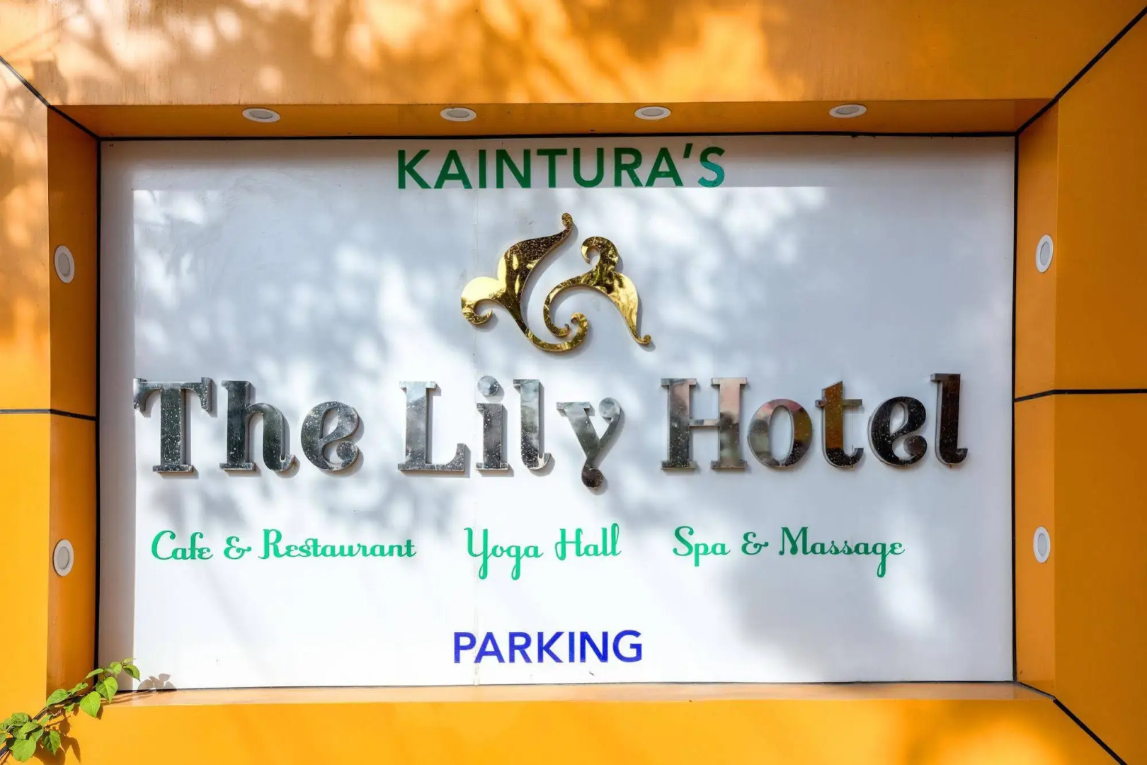 The Lily Hotel
