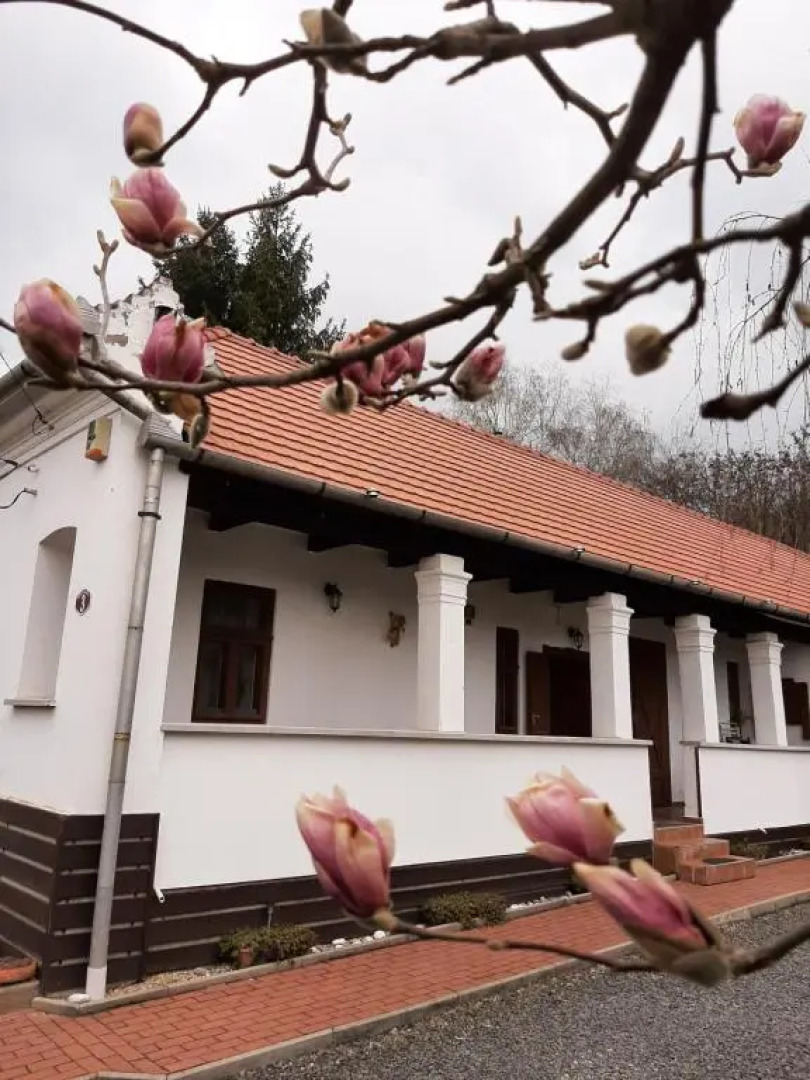 Bodza Vendégház - Apartmanház