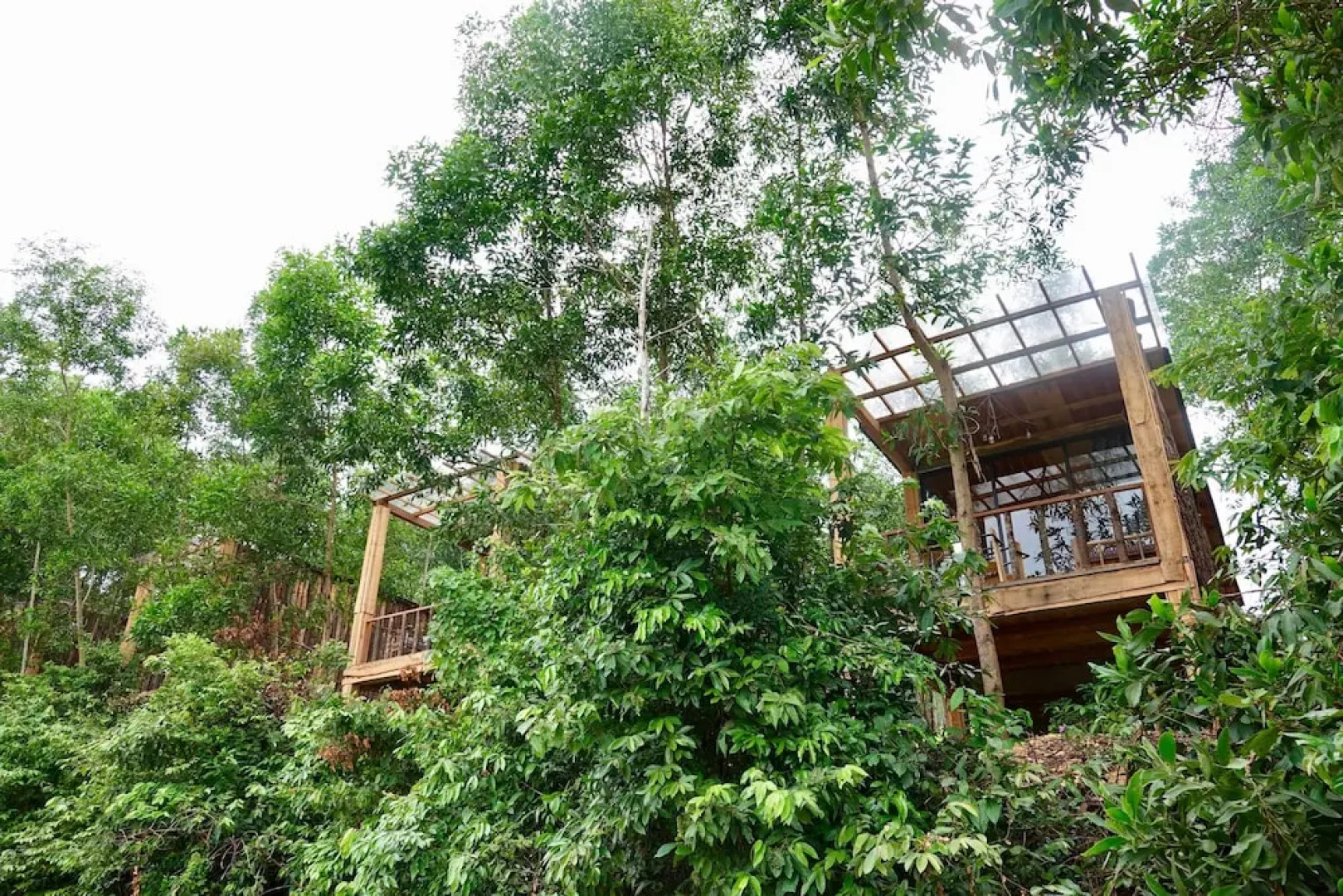 Nguyen Shack Phong Nha Eco Resort
