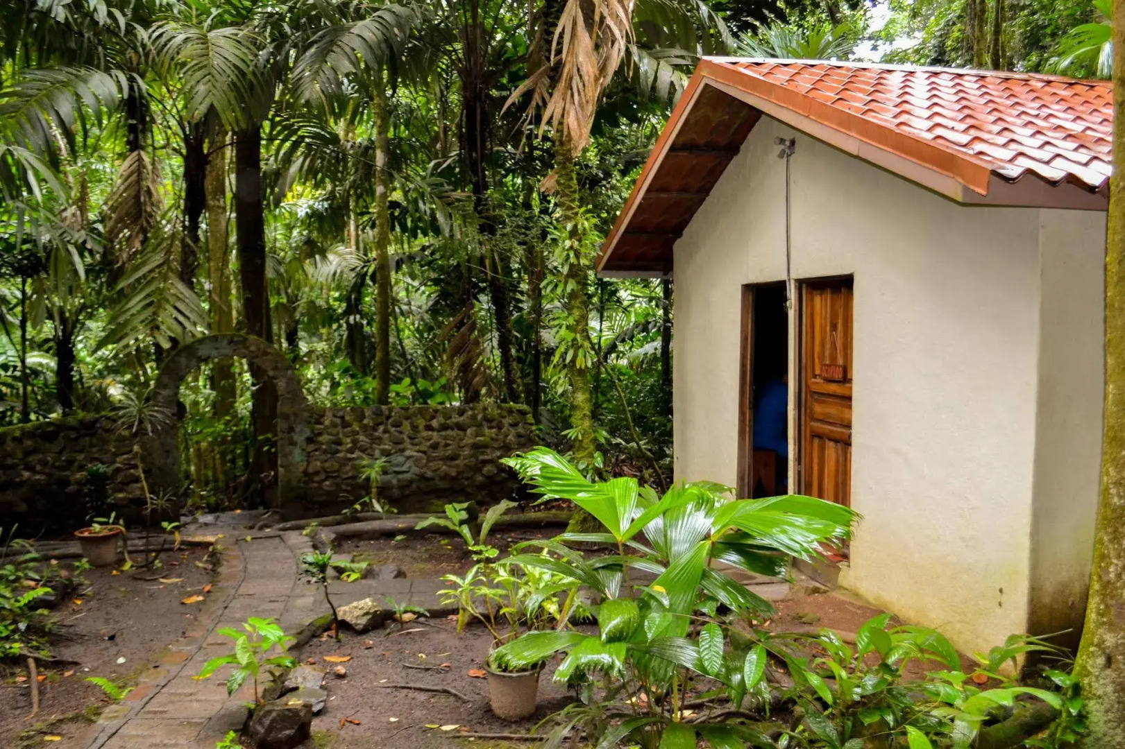 Termales del Bosque & Hot Springs