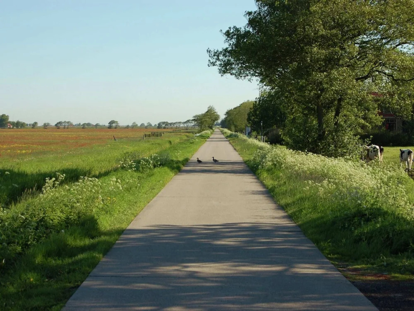 Holiday Home in Workum on a Farm