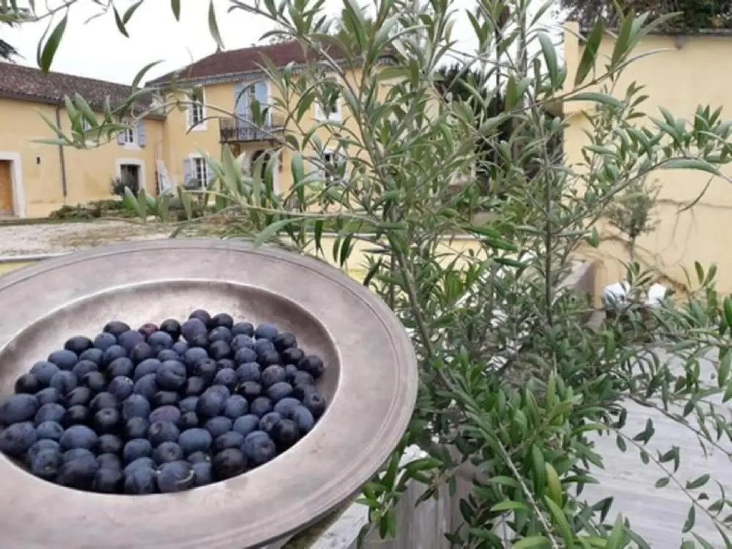 Chambres d'Hôtes Clos du Gaja