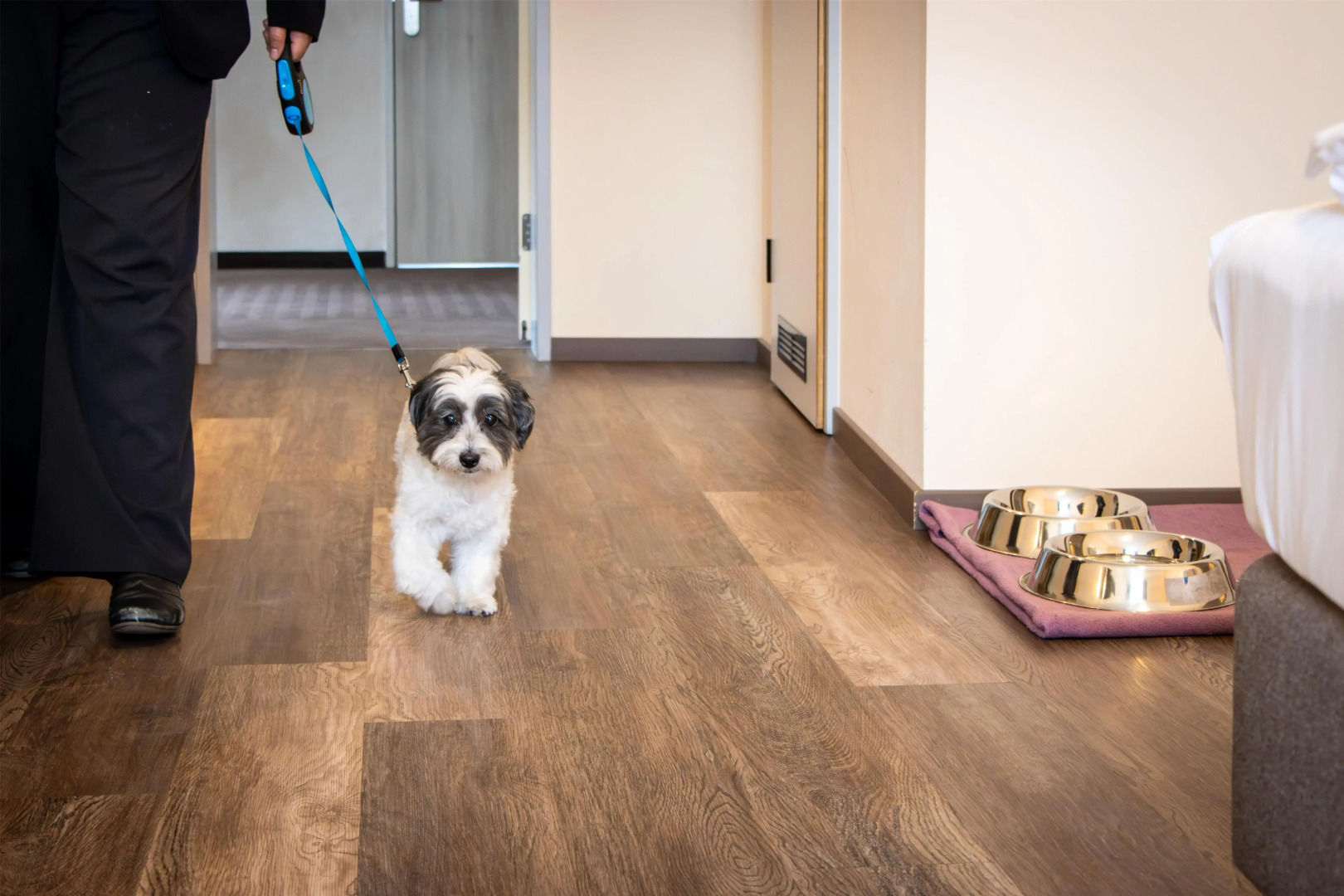 Best Western Plus Palatin Kongresshotel