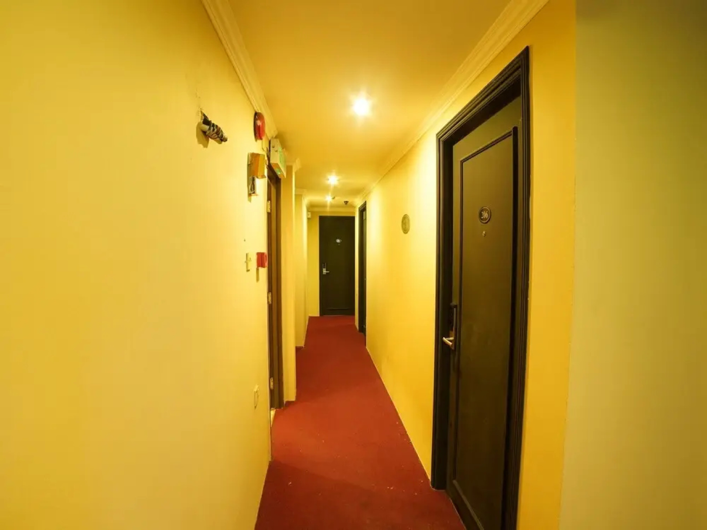 Metro Inn