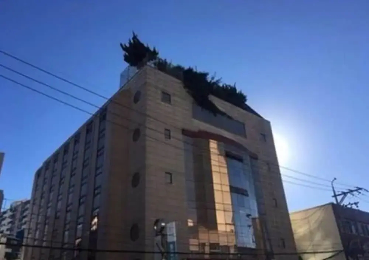 Rooftop Party Guesthouse - Hostel