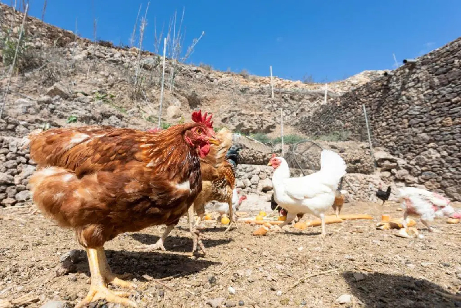 Eco Holidays House Raíces