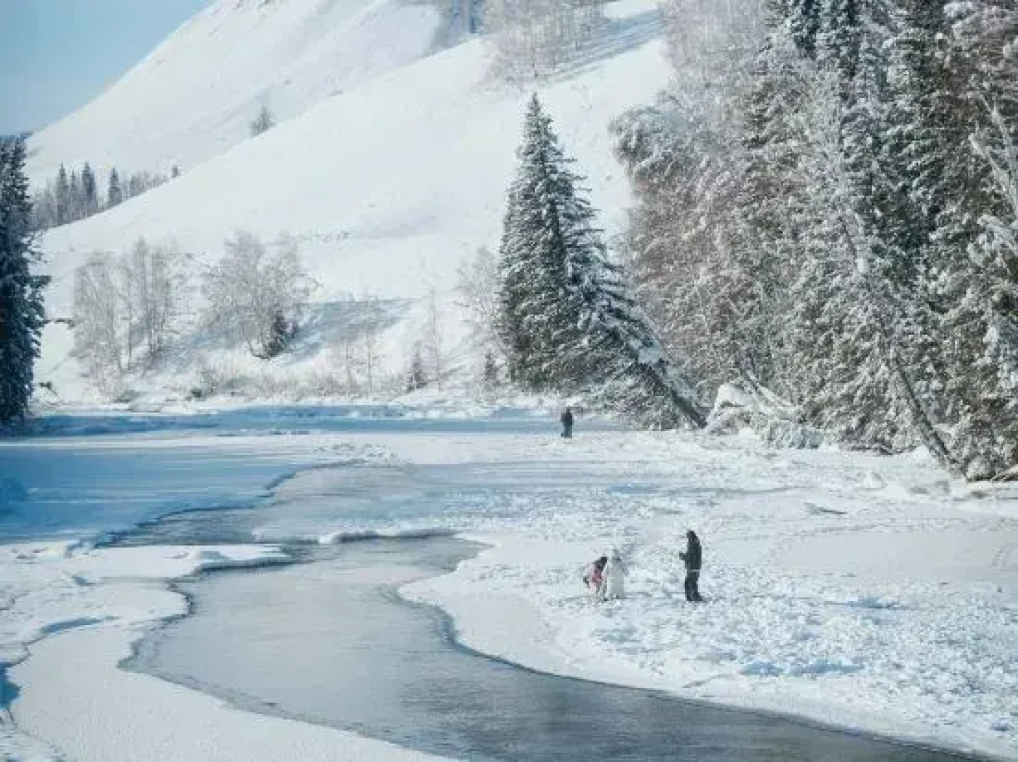 naked Home · Hemu Altay