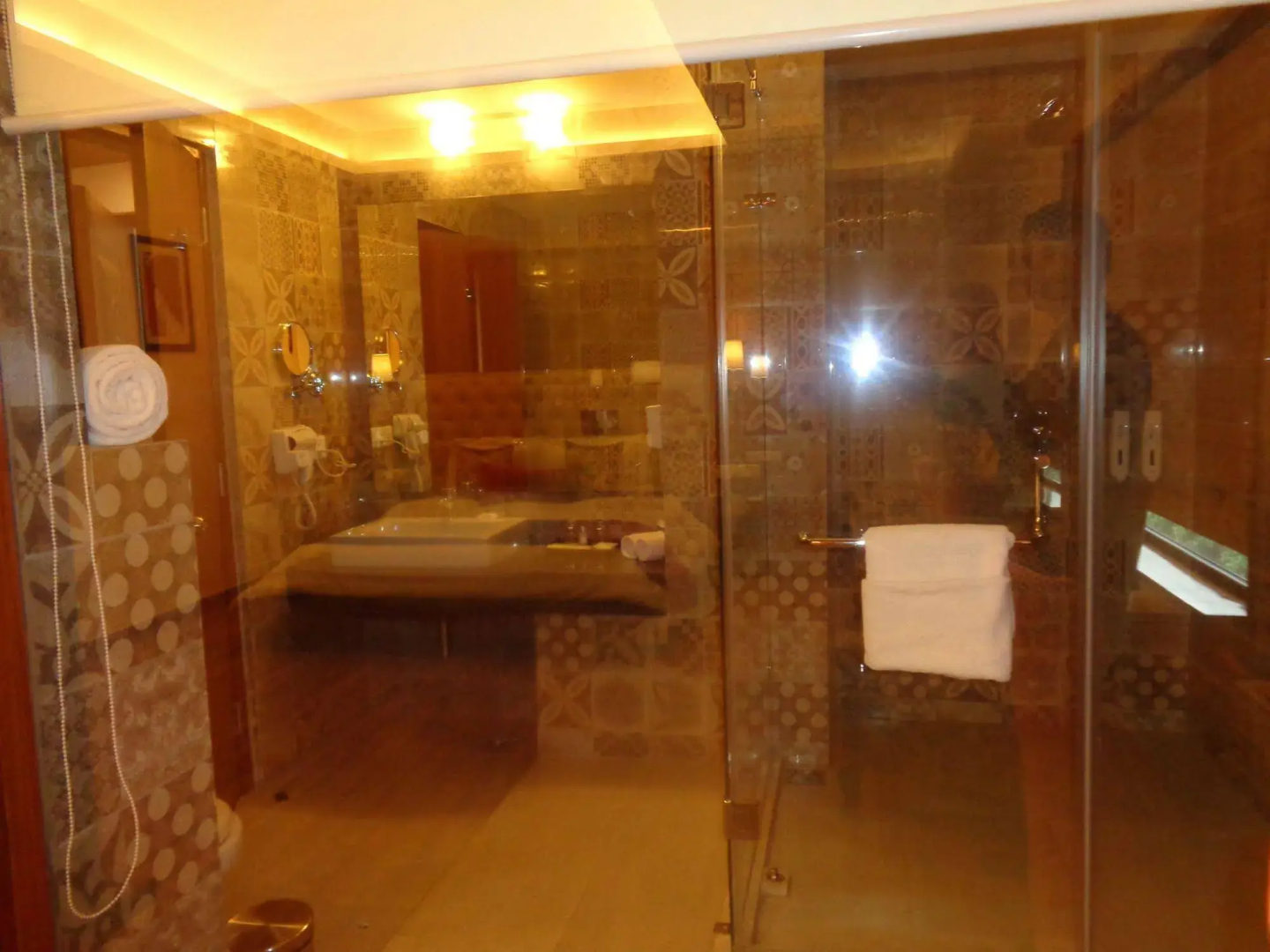 RS Sarovar Portico Palampur