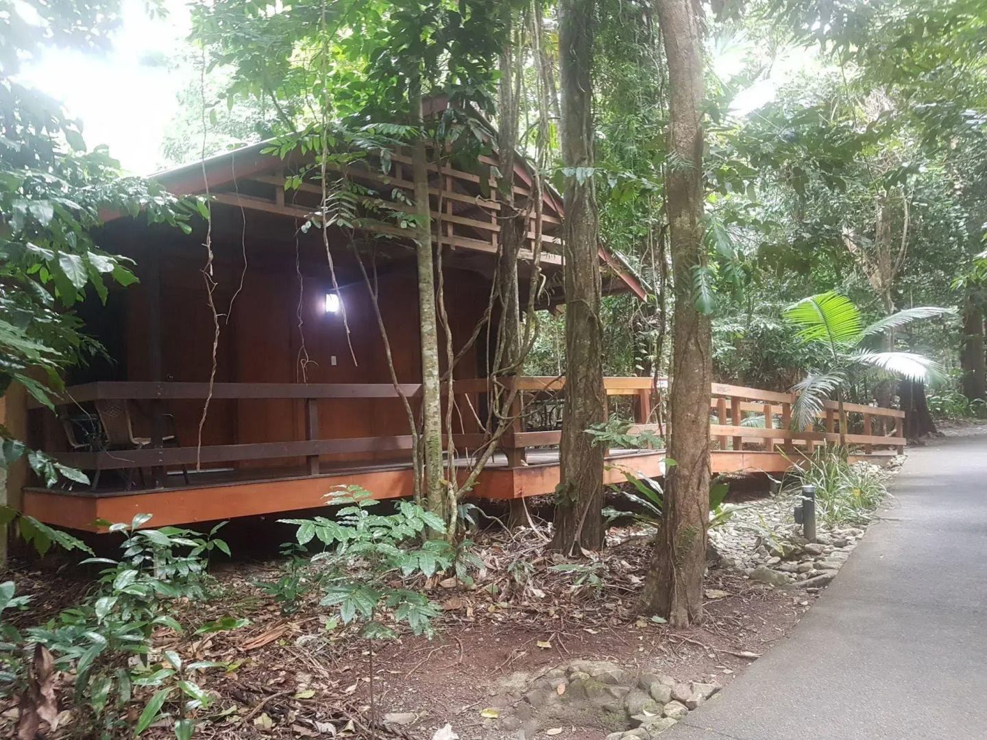 Cape Tribulation Beach House